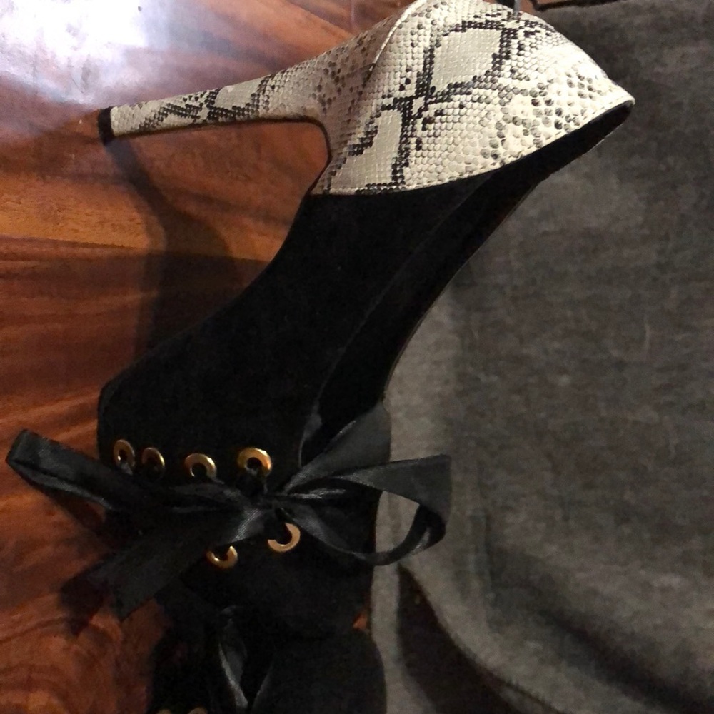 Black with fake snake
